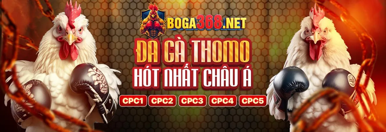 8day Casino Trực Tuyến Hàng Đầu Việt Nam