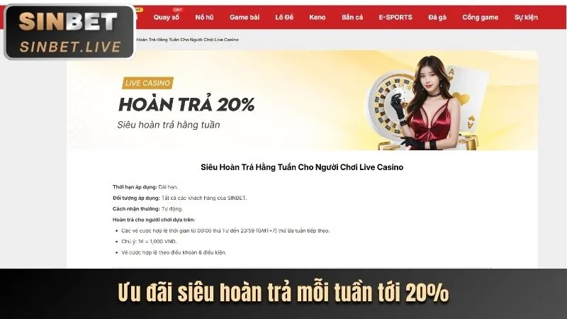 Hoàn trả hàng ngày cho đá gà tại 8day casino